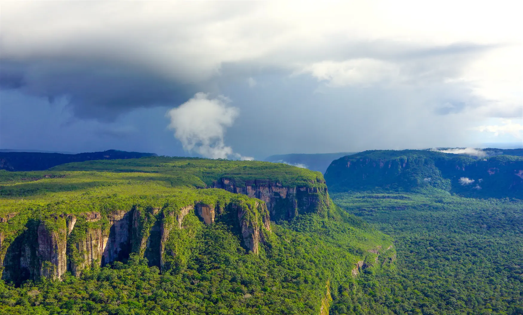 Stunning view of Chiribiquete National Park, featuring lush greenery and unique rock formations