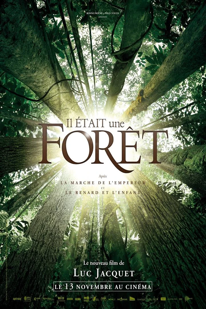 Once Upon a Forest movie poster